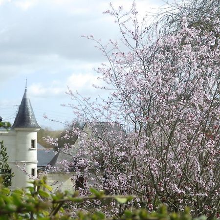 Le Manoir De La Baldette Bed & Breakfast Gennes-Val-de-Loire Dış mekan fotoğraf