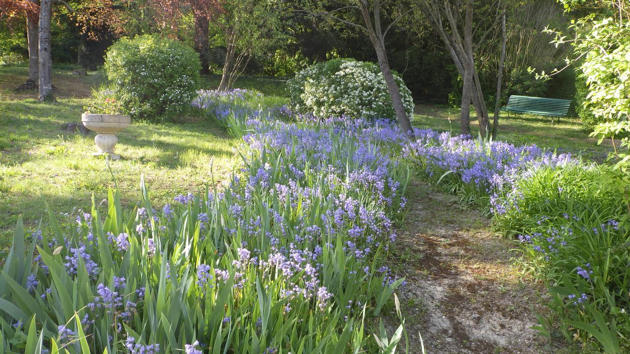 Le Manoir De La Baldette Bed & Breakfast Gennes-Val-de-Loire Dış mekan fotoğraf