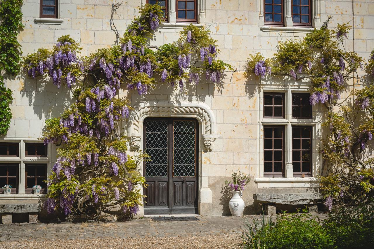 Le Manoir De La Baldette Bed & Breakfast Gennes-Val-de-Loire Dış mekan fotoğraf