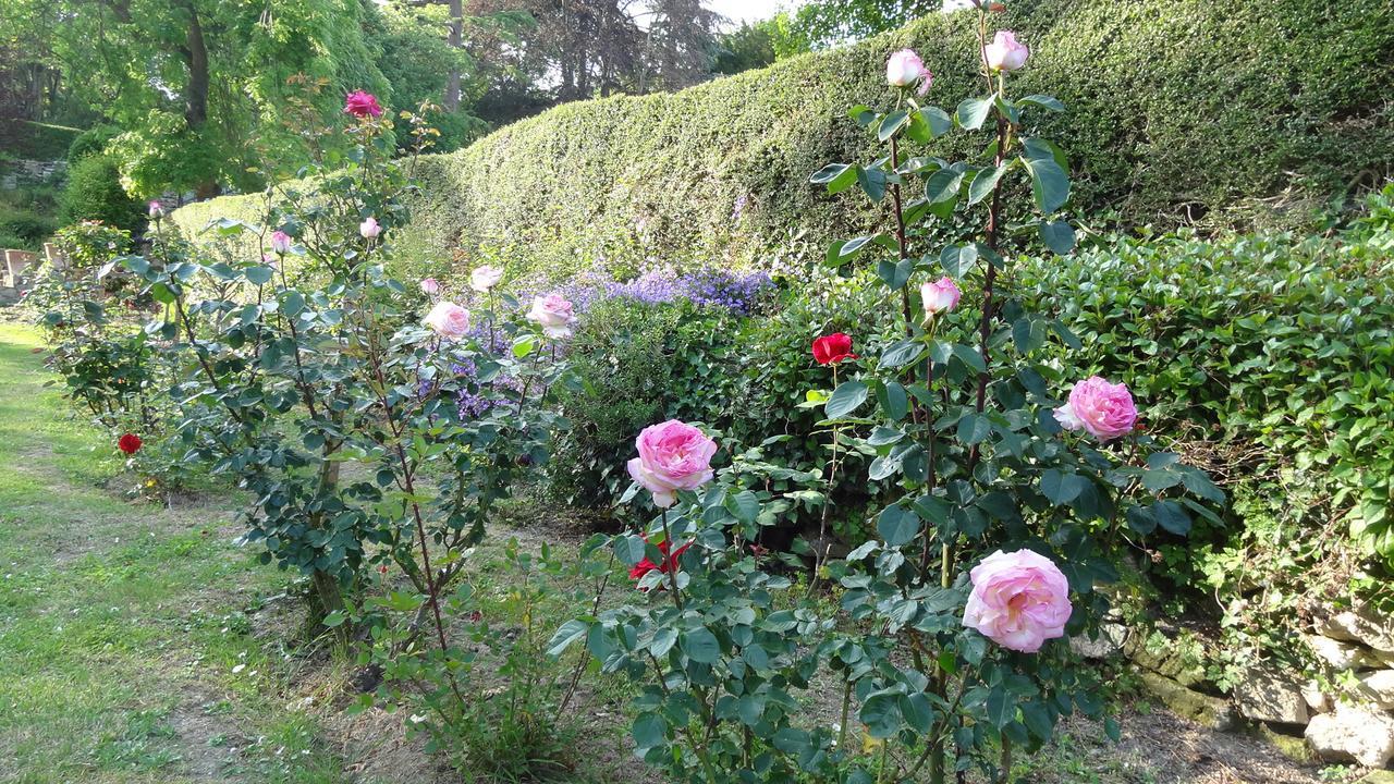 Le Manoir De La Baldette Bed & Breakfast Gennes-Val-de-Loire Dış mekan fotoğraf