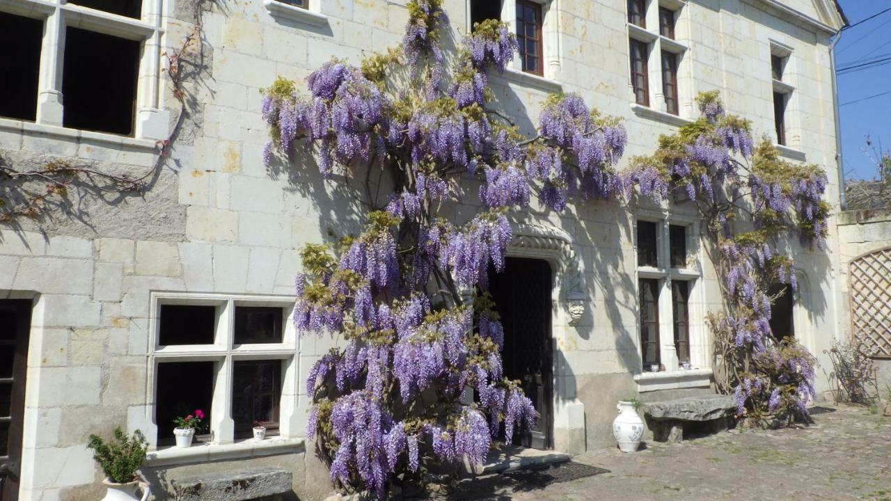 Le Manoir De La Baldette Bed & Breakfast Gennes-Val-de-Loire Dış mekan fotoğraf